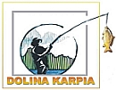 logo dolina